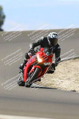 media/Sep-21-2025-TrackDaz (Sun) [[277c75b276]]/B Group/1220pm (Turn 2)/